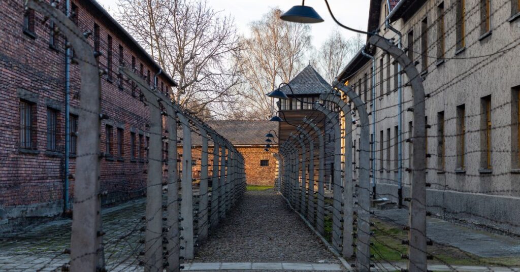 auschwitz birkenau